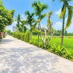 Bán đất nền Điện Bàn Tây 130m² full thổ cư 590 triệu - Ảnh thu nhỏ 3