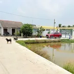 Bán nhà vườn 1068m2 full thổ cư, 3PN, giá 3,5 tỷ tại Nhựt Chánh, Bến Lức, Long An - Ảnh thu nhỏ 1