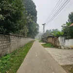 Bán đất 298m2 mặt tiền 8m Nhuận Trạch Hòa Bình - Ảnh thu nhỏ 4