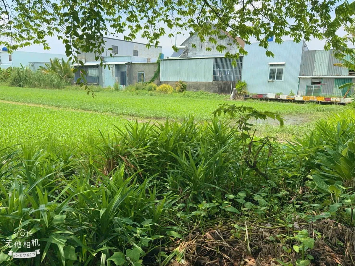 Bán đất hẻm Trương Định, An Bình, Rạch Giá, 2327m² - Ảnh thu nhỏ 2