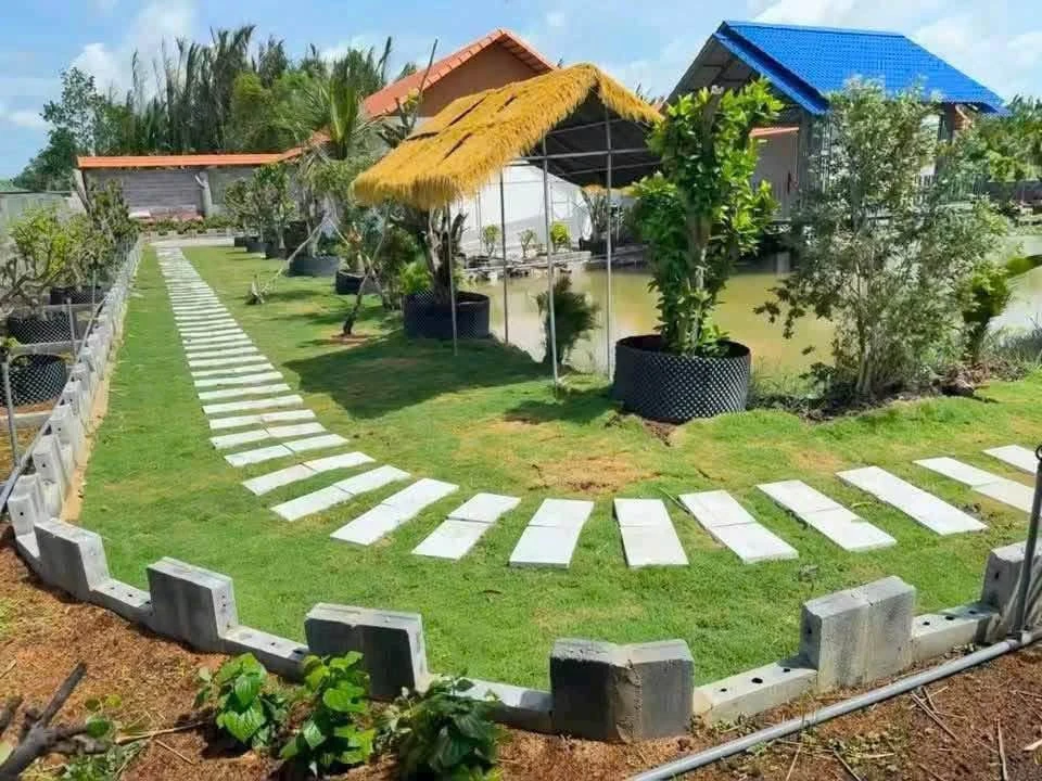 Bán nhà vườn 1900m2 gần Tân An, Hóc Môn, Hồ Chí Minh - Ảnh thu nhỏ 4