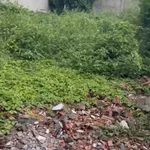 Bán đất An Sơn Thuận An 78m² 1,7 tỷ - Ảnh thu nhỏ 1