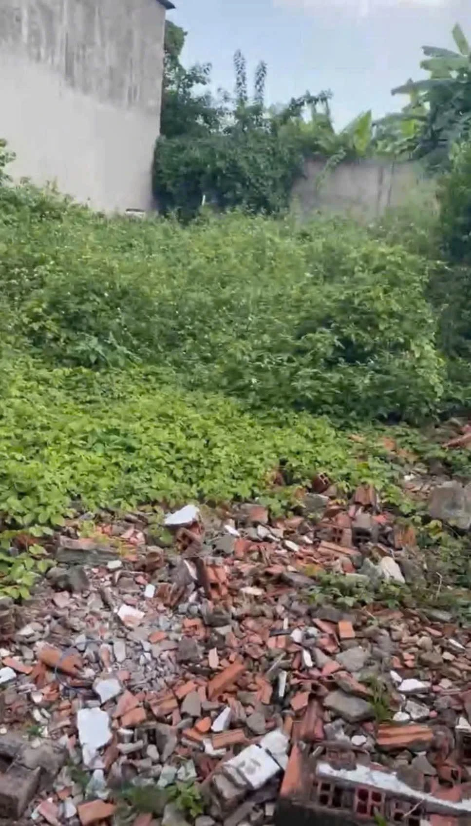 Bán đất An Sơn Thuận An 78m² 1,7 tỷ - Ảnh 1