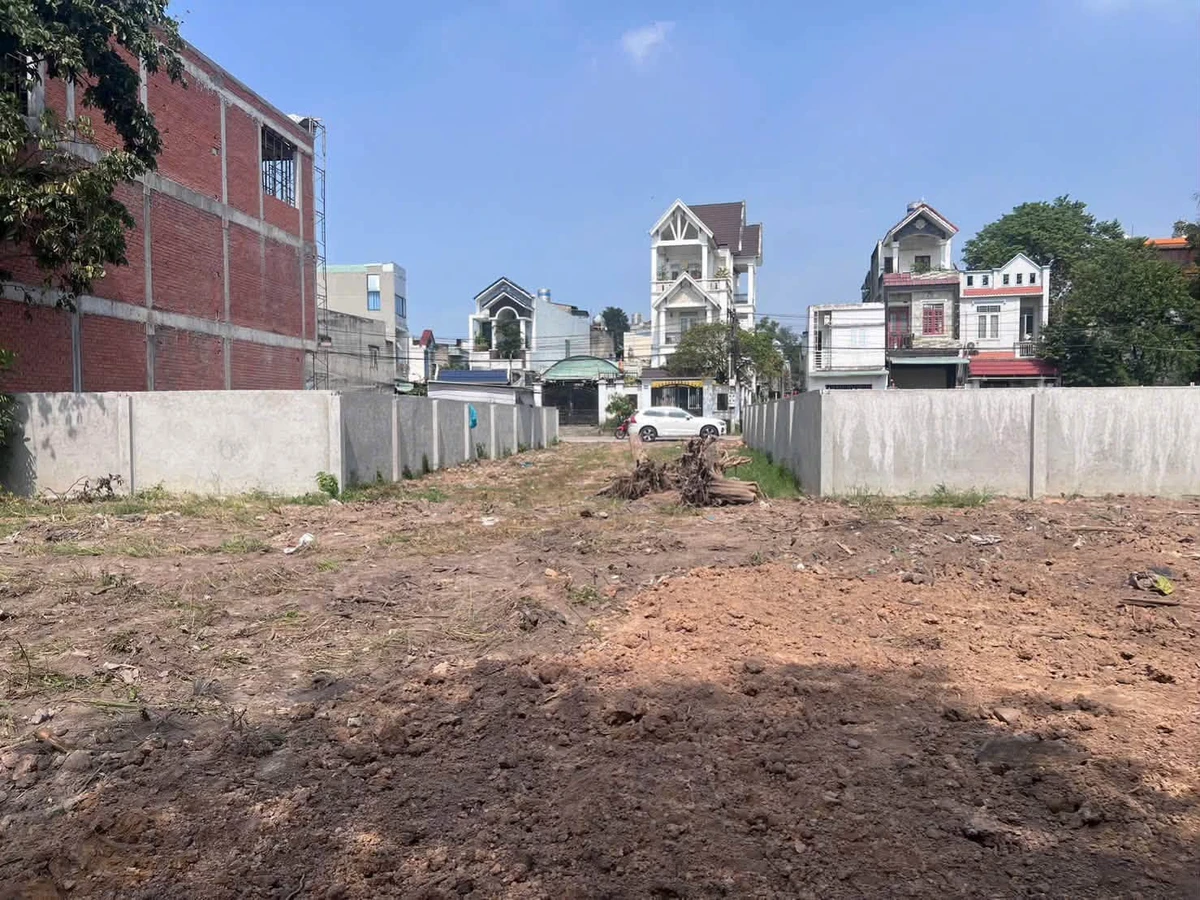 Bán lô đất xây biệt thự 1.151 m2 Dĩ An, Bình Dương 30 tỷ - Ảnh thu nhỏ 3