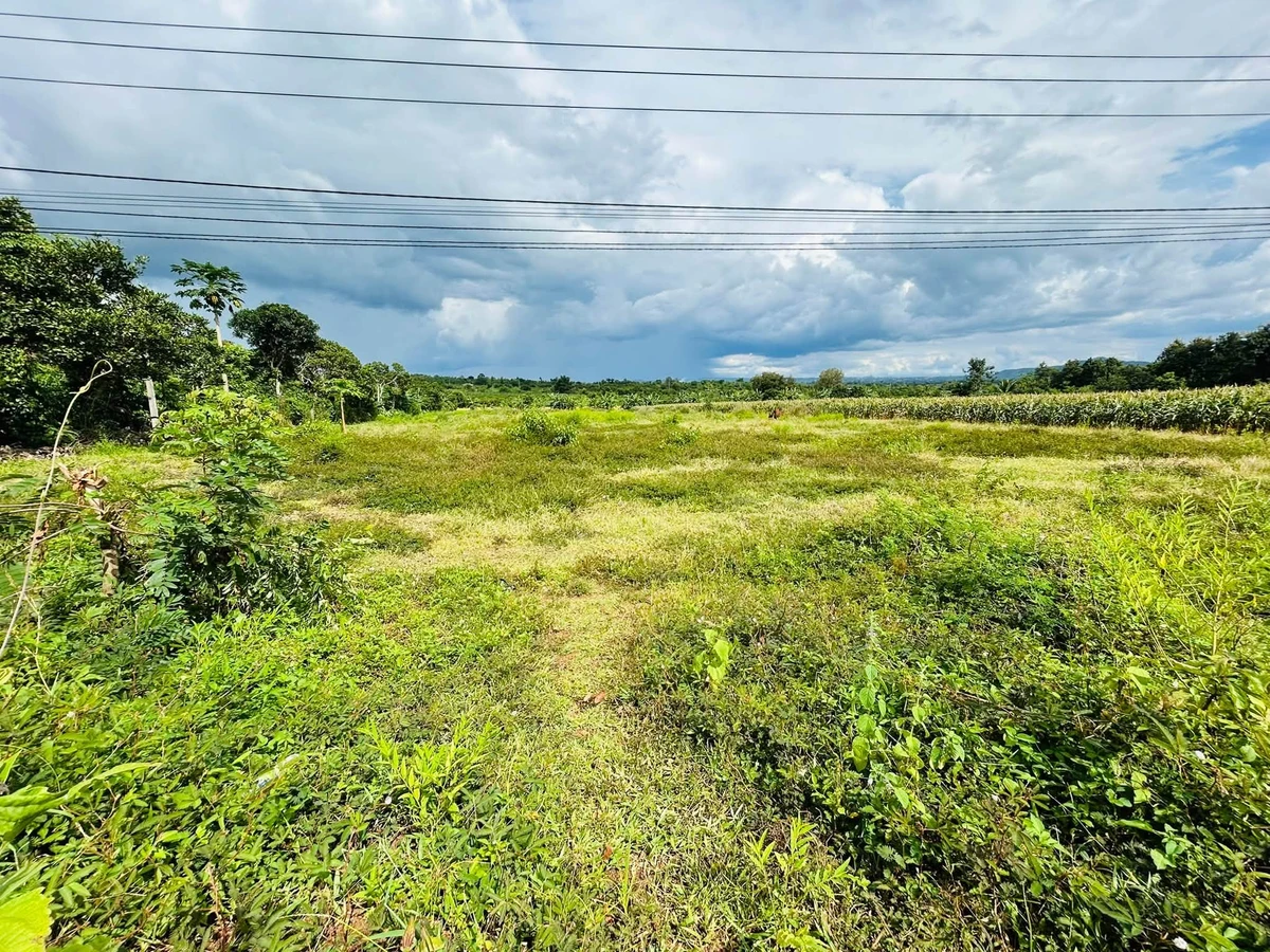 Bán lô đất 4.500 m2 tại Ea Nước, Đắk Lắk - Ảnh thu nhỏ 2
