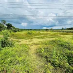 Bán lô đất 4.500 m2 tại Ea Nước, Đắk Lắk - Ảnh thu nhỏ 2