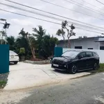 Bán vườn dừa mặt tiền lộ nhựa 8400m² Cần Giờ - Ảnh thu nhỏ 1