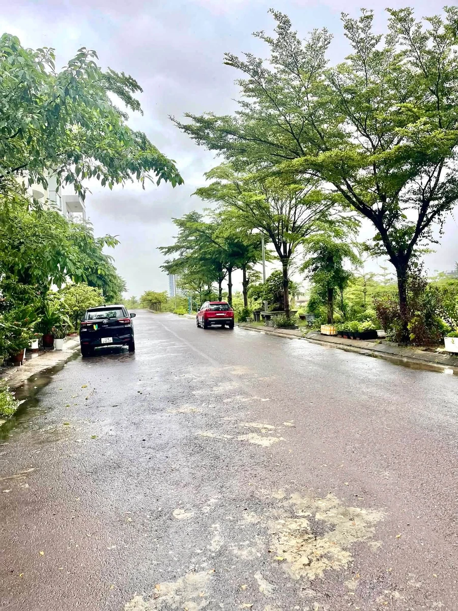 Bán đất nền mặt tiền 100m2 (5x20) khu B3 An Phú Thịnh, Quy Nhơn - Ảnh thu nhỏ 2