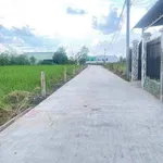 Bán đất 299m2 (182m2 lúa + 117m2 thổ cư) Phú Ngãi Trị, Long An - Ảnh thu nhỏ 1