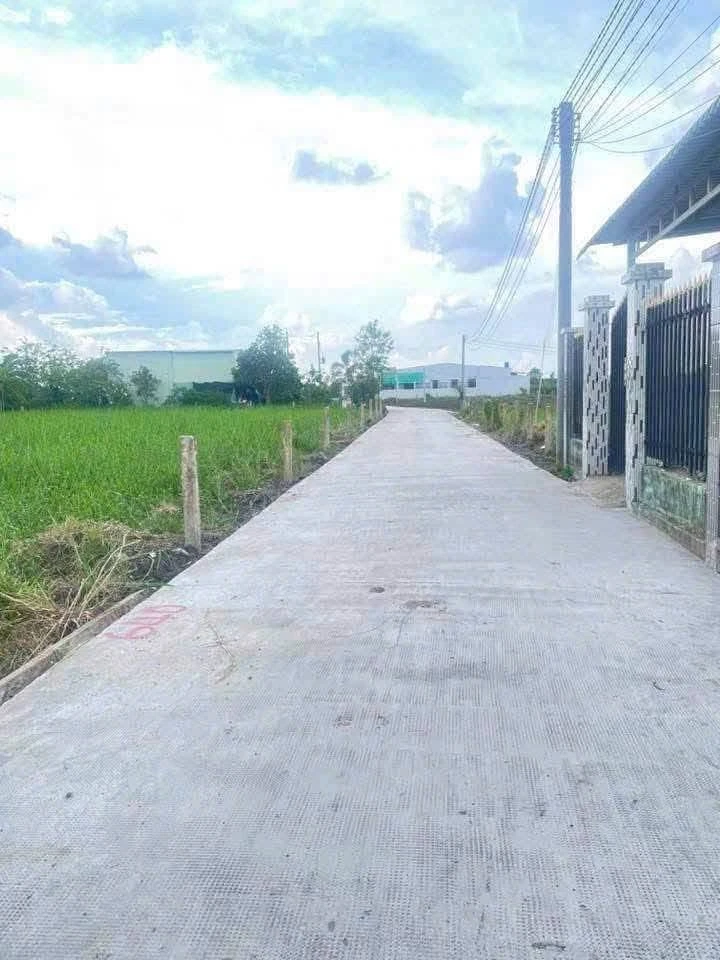 Bán đất 299m2 (182m2 lúa + 117m2 thổ cư) Phú Ngãi Trị, Long An - Ảnh 1