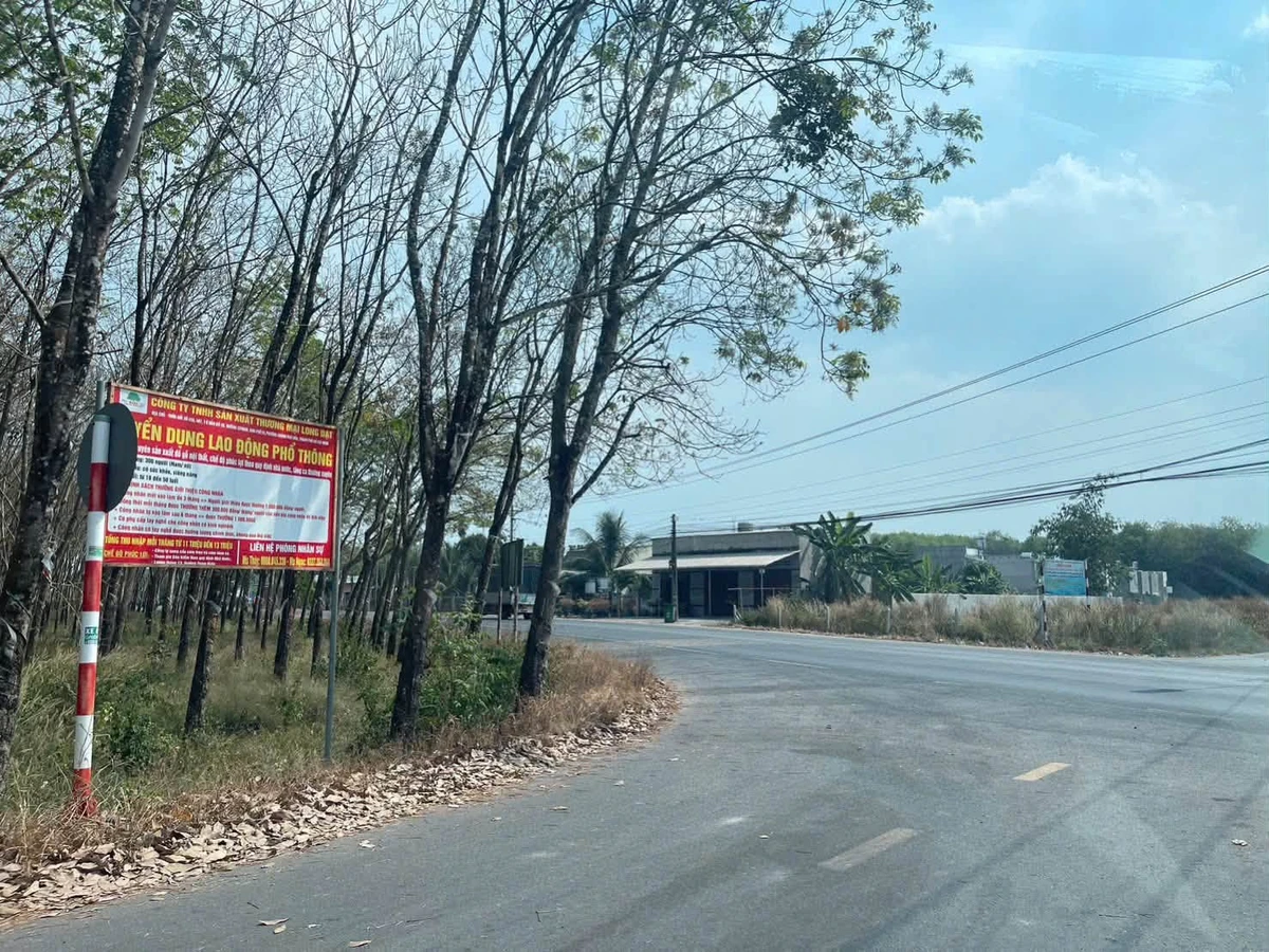 Bán đất 3616m2 chưa thổ cư gần đường DH605, Chánh Phú Hòa, Bến Cát, giá 9 tỷ - Ảnh thu nhỏ 3