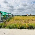 Bán lô đất thổ cư 4,5x14m giá 280 triệu tại xã Vàm Cỏ - Ảnh thu nhỏ 4