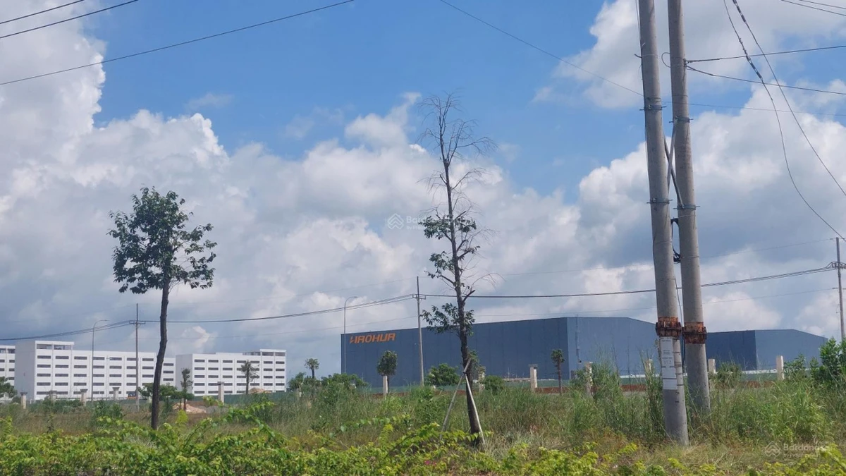 Bán đất 1000m2 mặt tiền DT752B chỉ 2,5 tỷ Phường Chơn Thành (phường Tân Hiệp, Hớn Quản cũ) - Ảnh thu nhỏ 4