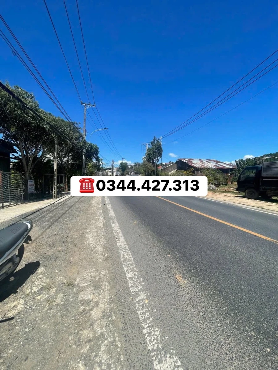 Bán đất 2200m² mặt tiền Cầu Đất, Lâm Đồng, view đồi trà - Ảnh thu nhỏ 3
