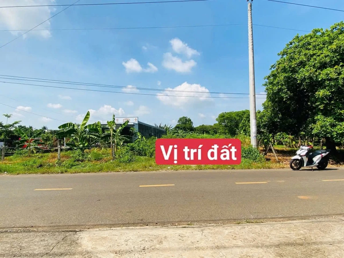 Bán lô đất 854m2 mặt tiền Đoàn Trung Còn, Đất Đỏ - Ảnh 1
