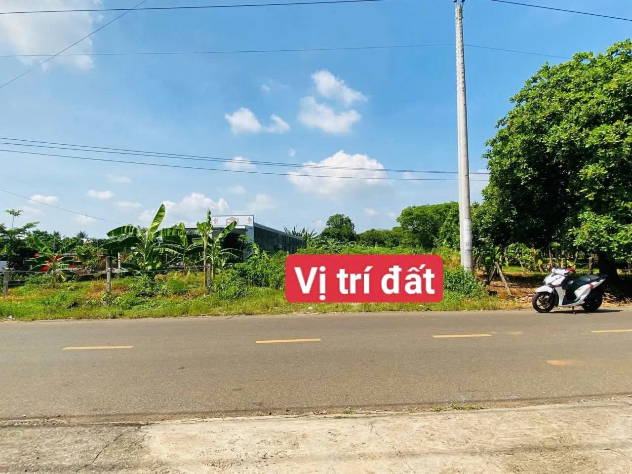 Bán lô đất 854m2 mặt tiền Đoàn Trung Còn, Đất Đỏ - Ảnh 1
