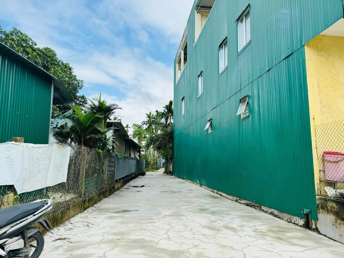 Bán đất nền 182,5m² hẻm Phan Bội Châu, hướng Đông - Ảnh thu nhỏ 2
