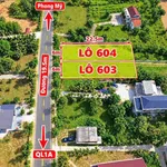 Bán đất 136m² giá 399 triệu, sổ hồng sẵn, gần chợ Phò Trạch, Huế - Ảnh thu nhỏ 2