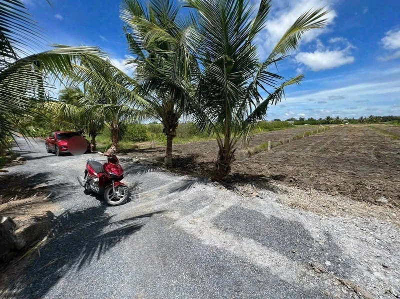 Bán đất 1000m² Bến Lức Long An, 650 triệu