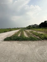 Cần bán gấp lô đất chính chủ gửi tại Đào Xá, Trung Chính, Bắc Ninh - Ảnh thu nhỏ 4
