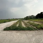 Cần bán gấp lô đất chính chủ gửi tại Đào Xá, Trung Chính, Bắc Ninh - Ảnh thu nhỏ 4