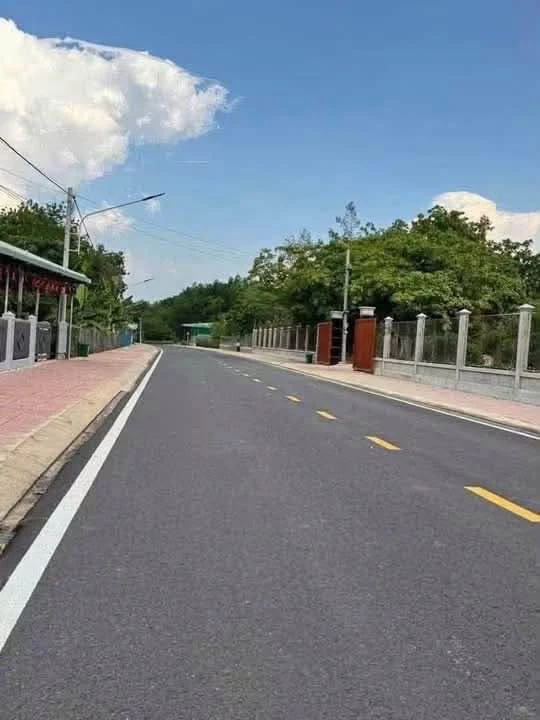 Bán đất lô góc 175m² Thành Tân Phước, Bình Tân - Ảnh thu nhỏ 2
