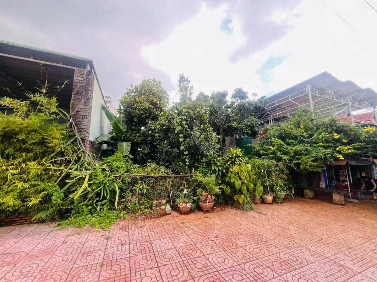 Bán đất 300m² Đường Hàm Nghi, Lâm Đồng 3,9 tỷ - Ảnh thu nhỏ 4
