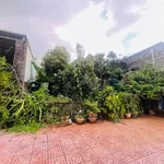 Bán đất 300m² Đường Hàm Nghi, Lâm Đồng 3,9 tỷ - Ảnh thu nhỏ 4