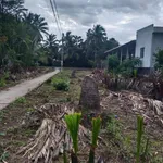 Bán nền mặt tiền 658m² Lộ Nhựa An Bình, Đồng Khởi, 920 triệu - Ảnh thu nhỏ 4