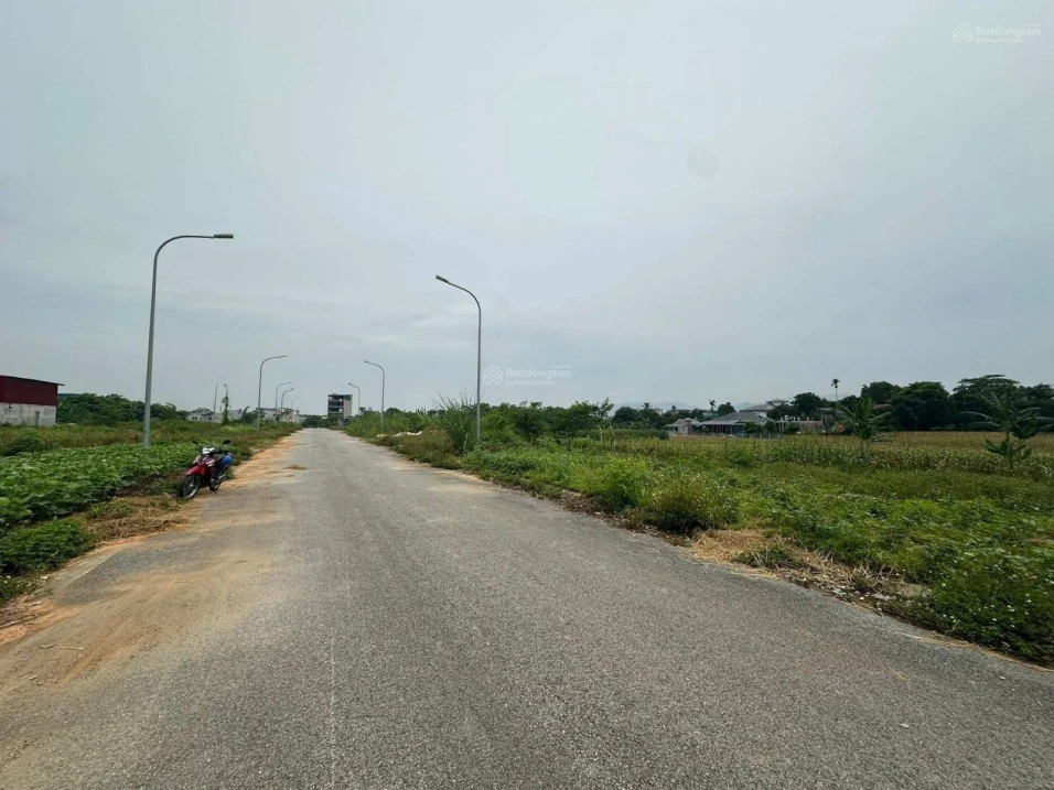 Bán đất đấu giá nhà nước tại An Tường - TP Tuyên Quang diện tích 200m2 thổ cư giá 3.2 tỷ có TL - Ảnh 1