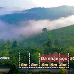 Bán đất Di Linh Lâm Đồng 412m², 849 triệu - Ảnh thu nhỏ 5