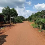 Bán đất vườn điều gần 2ha8 đất đỏ, ô tô tới vườn tại Phú Riềng, Bình Phước - Ảnh thu nhỏ 1