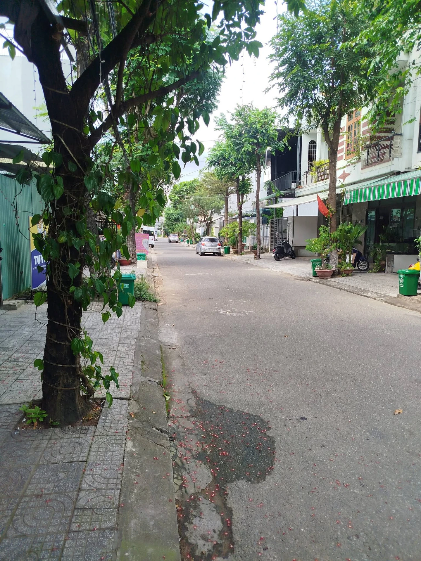 Bán đất 100m² mặt tiền 5.5m Khuê Trung Cẩm Lệ nhỉnh 5 tỷ - Ảnh 1