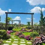 Bán đất Hóc Môn 86m² 399 triệu view đồi - Ảnh thu nhỏ 1