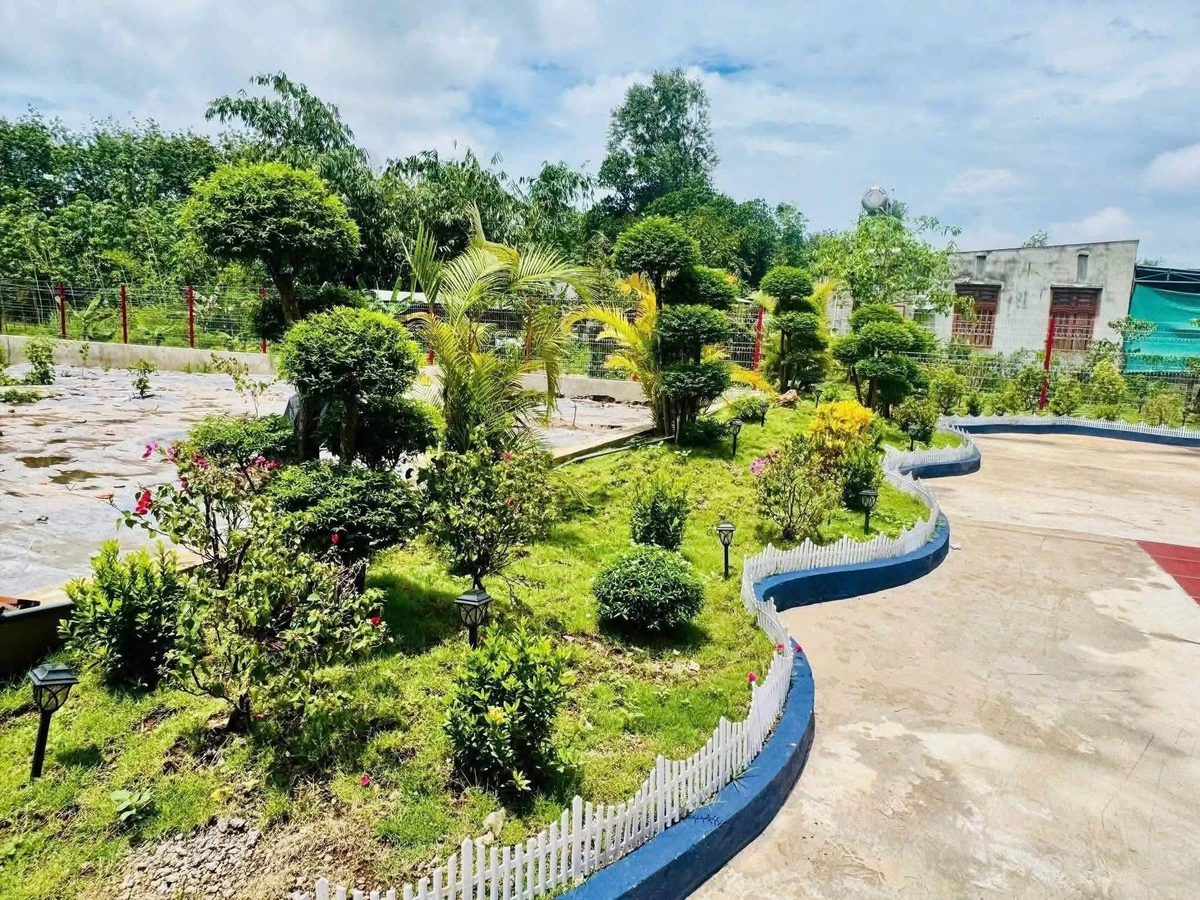 Bán đất vườn An Thái Phú Giáo 1.800m² giá 3,5 tỷ - Ảnh thu nhỏ 5