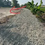 Bán đất thổ cư 149m², Phước Đông, Cần Dước, Long An - Ảnh thu nhỏ 3