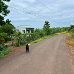 Bán đất nước ngoài 1.000m² Nha Bích, Đồng Nai - Ảnh thu nhỏ 1
