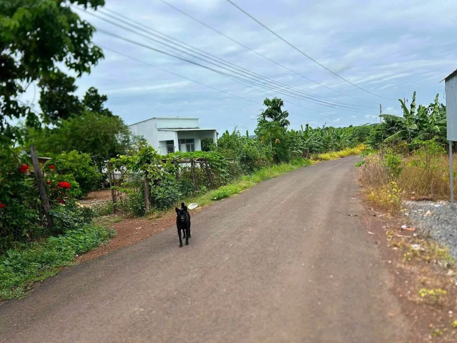 Bán đất nước ngoài 1.000m² Nha Bích, Đồng Nai - Ảnh 1