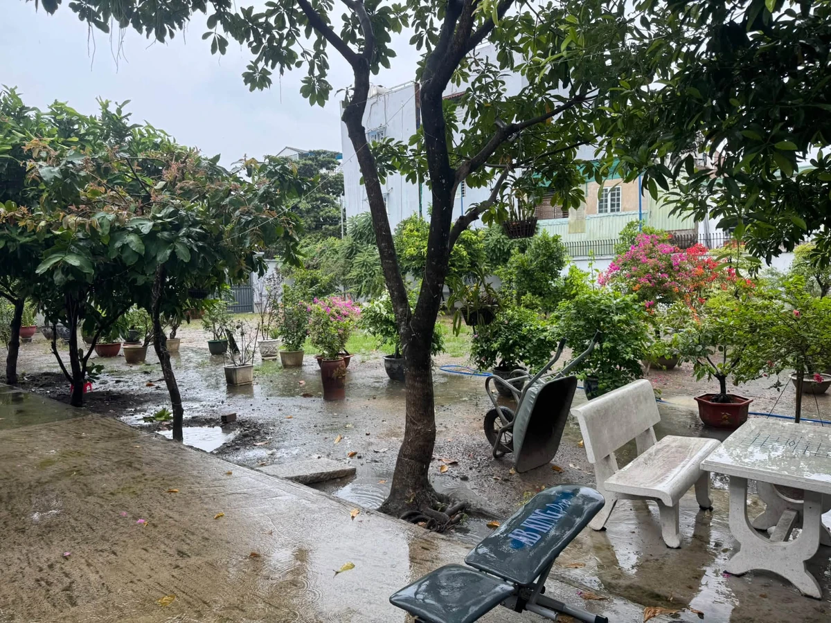 Bán đất 1008m2 ven sông Hiệp Bình Chánh, Thủ Đức giá 70 tỷ - Ảnh thu nhỏ 3