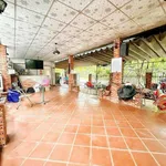 Bán lô đất góc 2 mặt tiền 112m² có quán cafe, Tây Ninh - Ảnh thu nhỏ 4