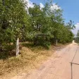 Bán lô đất vườn full cà phê và tiêu có thổ cư 680tr/2000m2 sẵn 300m2 thổ cư đường bêtông 0938 609 *** - Ảnh thu nhỏ 9