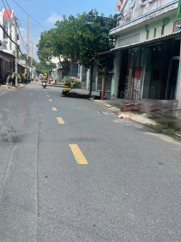 Bán nhà 4 phòng ngủ 115m² mặt tiền 4m Tân Bửu, Bình Chánh 1cong5
