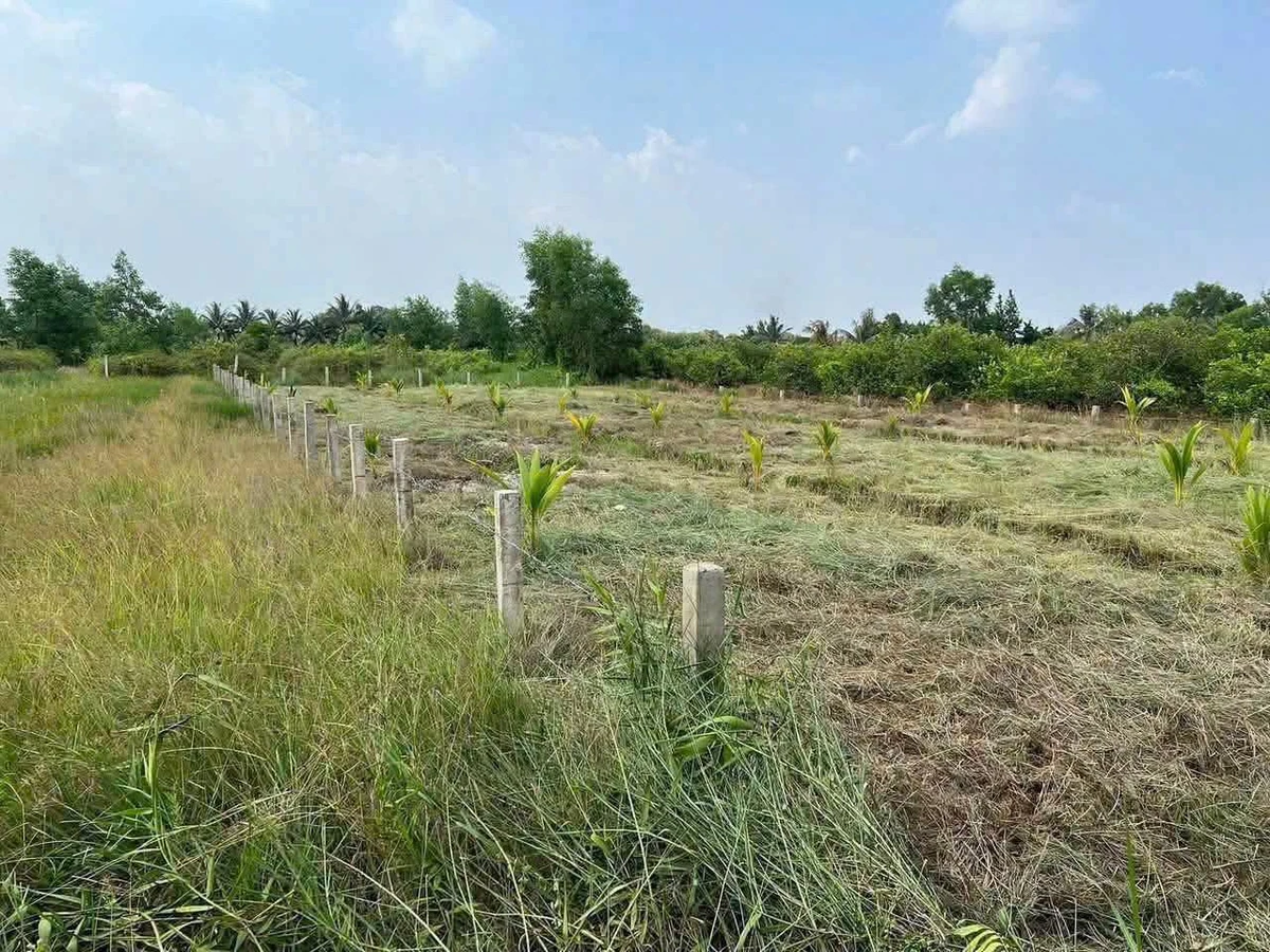 Bán đất nền 1000m² Bến Lức Long An, 550 triệu - Ảnh thu nhỏ 3