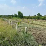 Bán đất nền 1000m² Bến Lức Long An, 550 triệu - Ảnh thu nhỏ 3
