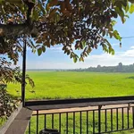 Bán đất 233m2 thổ cư 60m2 view ruộng Buôn Ma Thuột 1 tỷ 790 - Ảnh thu nhỏ 4