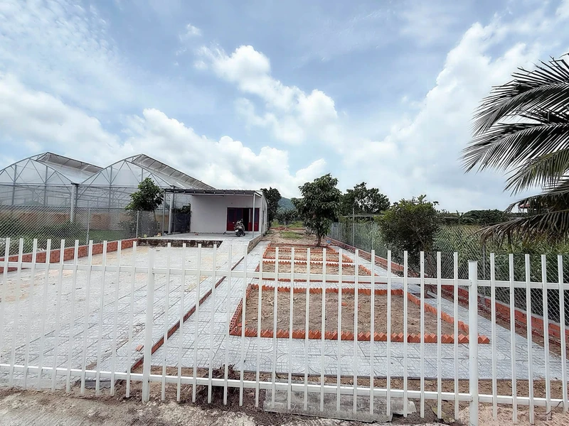 Bán gấp mặt đường Quản Lộ Phụng Hiệp, Tân Thành, Cà Mau, 8898m, ngang 69m, chỉ 29 tỷ ty630tr