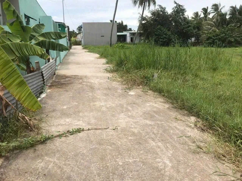 Bán đất xây nhà vườn 980m² tại Tân An, Long An