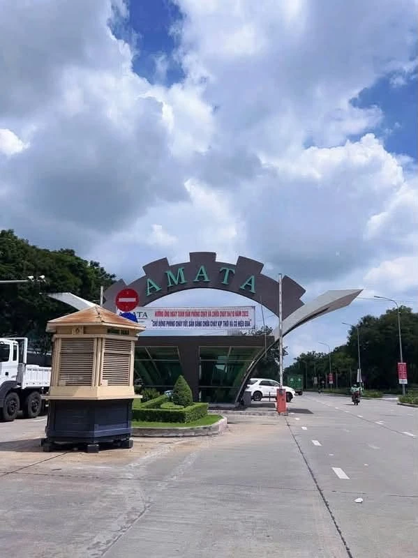 Cho thuê xưởng 700m2 đường 13 KCN Amata, Bình Dương 15tr/tháng - Ảnh 1