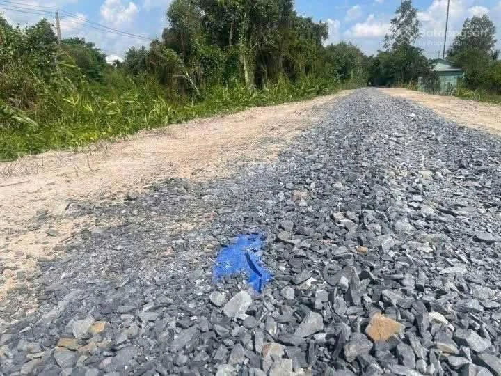 Bán đất đối diện Chợ, Trường Học, cách KCN Long Giang 10 phút. Giá 358 Triệu - Ảnh thu nhỏ 2