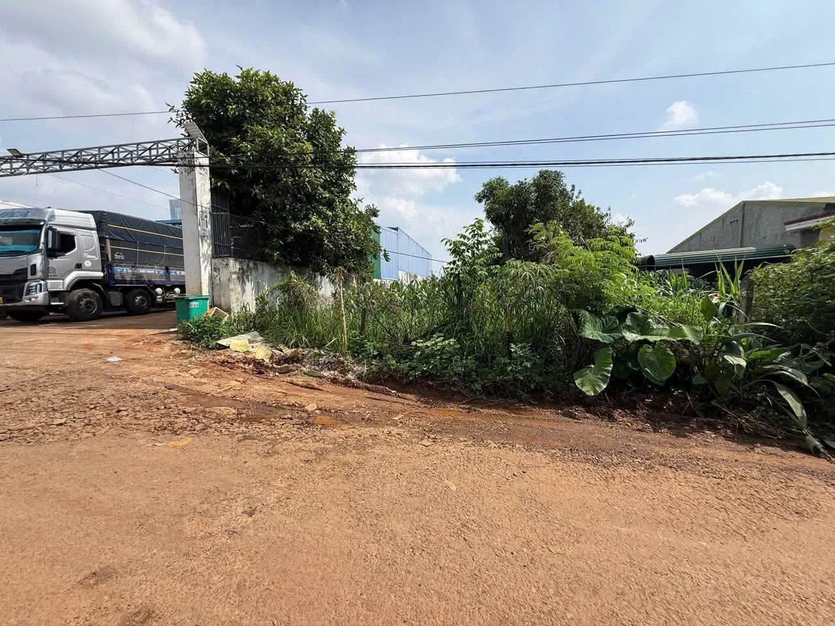 Bán đất mặt đường B5 Phạm Ngũ Lão 470m² Bình Chánh - Ảnh thu nhỏ 2
